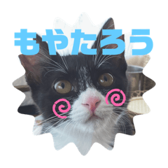 chisa_20200910185012