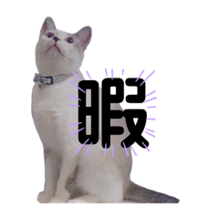 mizuki_20200911052509