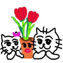 Plants and cats