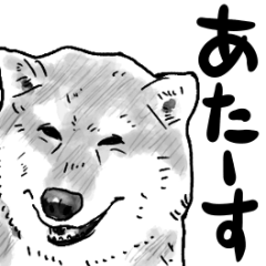 A little annoying animals (move)