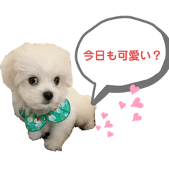 natsumi_20200911001602