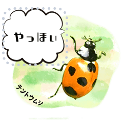 Message stamp of cute bugs