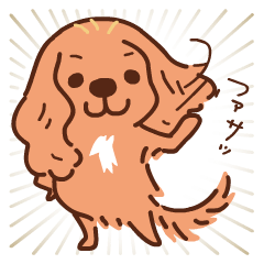 Dog cavalier ruby daily Sticker