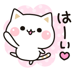 Cat to concern (Animation2)