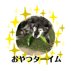 Michiko_20200911131243