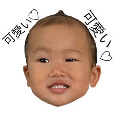 SEIRA_20200911112825