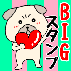 【BIG】毎日使える　パグ犬のぱーちゃん9