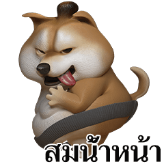 Sumo Shiba dog Jack (Thai Ver.)