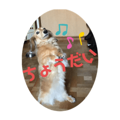 suzu_20200911143934