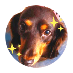 mizuki_20200911144748