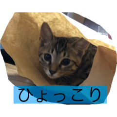kaho_20200911173111