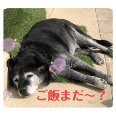 Michiko_20200911193112