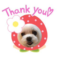 kitty_20200911213413