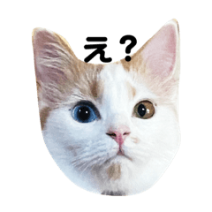 chisa_20200911214453