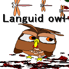 Languid owl 2