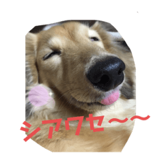 suzu_20200911230449