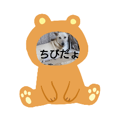 chibi_20200911231056