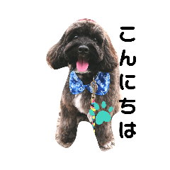 junko_20200912095146