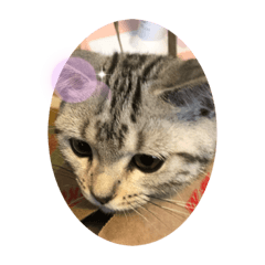 Saya_20200912105225