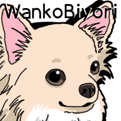 Wanko-Biyori Chihuahua