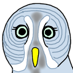 Owl-healing-
