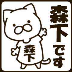 MORISHITA-cat