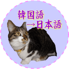 고양이의 사진에서 매일 한국어