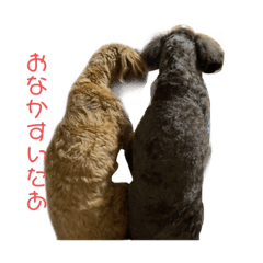 sumire_20200912010354