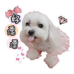 小瑪妮妮公主的日常
