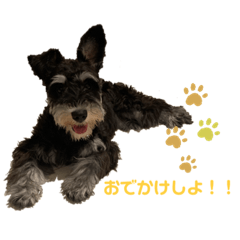 nanami_20200912153734