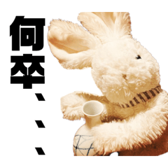 White rabbit KUNUGI