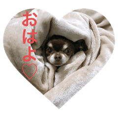 HARUNA_20200912174828