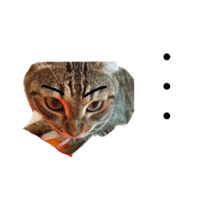 ayumi_20200912175837