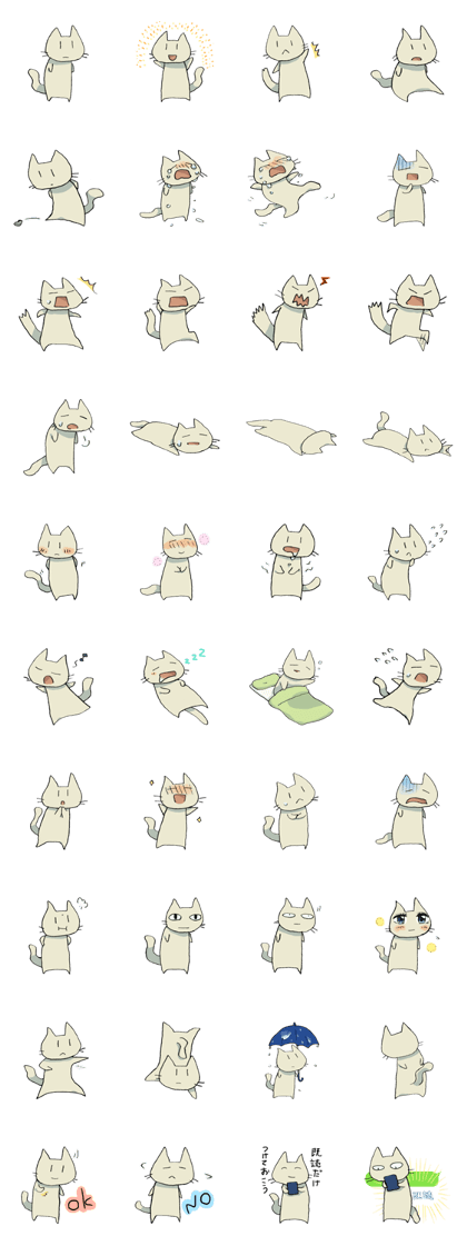 it's cat