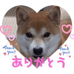 saori_20200912222823