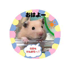 kaho_20200912235933