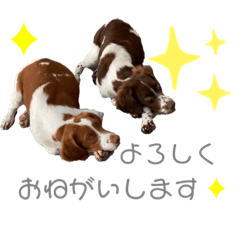 asako_20200913034825