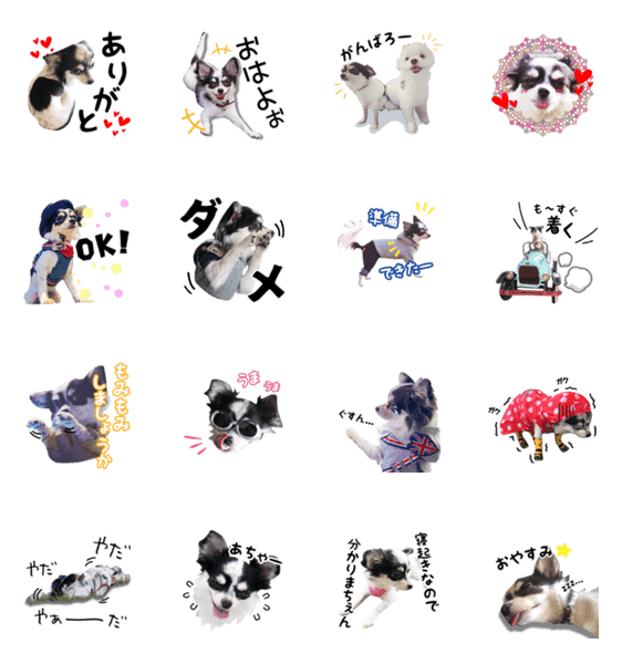 ハート犬の出雲 チワワ 1 Lineクリエイターズスタンプ Stamplist