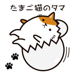 cat-egg