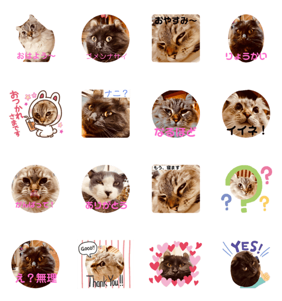 愛猫達で作ったスタンプ2 Lineクリエイターズスタンプ Stamplist