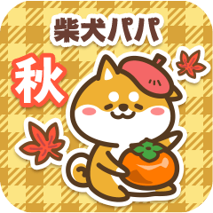 Shiba Papa in Autumn 2