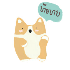 Corgi the Chubby dog Thai version