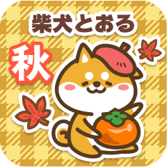 Shiba Toru in Autumn 2