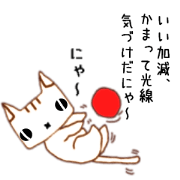 this cat is nya