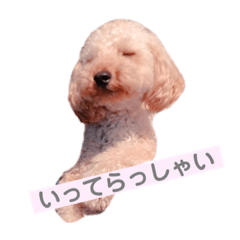 sanae_20200913003308