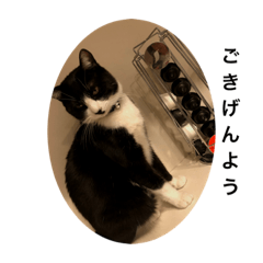 miyuu_20200912195941