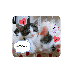 CHIE_20200912195651