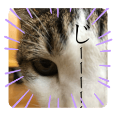 haruna_20200913120122