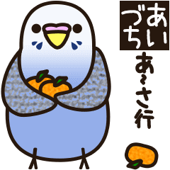 budgerigar ![Ver5](move/response No.1)