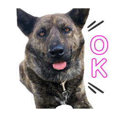 ayumi_20200913132414